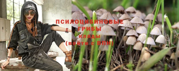 каннабис Вязники