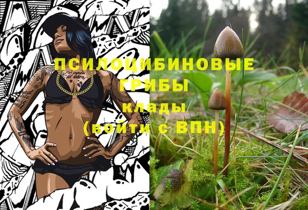 2c-b Вязьма